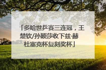 多哈世乒赛三连冠，王楚钦/孙颖莎收下兹·赫杜塞克杯复刻奖杯