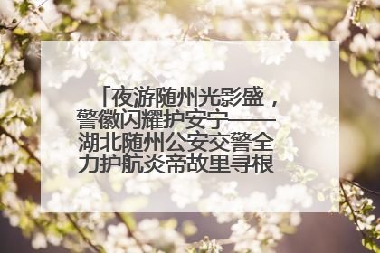 夜游随州光影盛，警徽闪耀护安宁——湖北随州公安交警全力护航炎帝故里寻根节夜游活动侧记