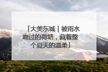 大美东城｜被雨水吻过的荷塘，藏着整个夏天的温柔