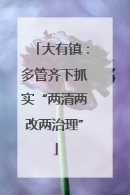 大有镇：多管齐下抓实“两清两改两治理”