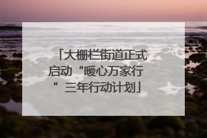 大栅栏街道正式启动“暖心万家行”三年行动计划