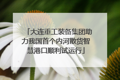 大连重工装备集团助力我国首个内河散货智慧港口顺利试运行