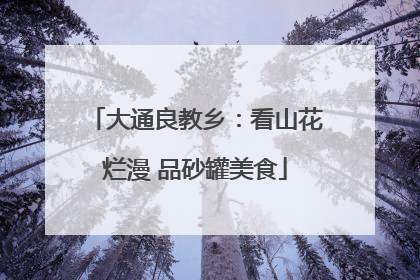 大通良教乡：看山花烂漫 品砂罐美食