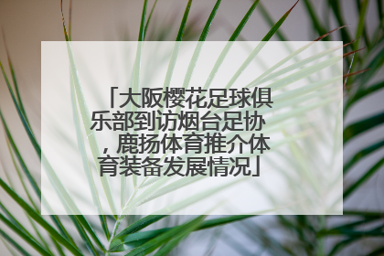 大阪樱花足球俱乐部到访烟台足协，鹿扬体育推介体育装备发展情况