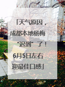 天气原因，成都本地杨梅“迟到”了！6月5日左右迎最佳口感