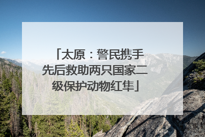 太原：警民携手 先后救助两只国家二级保护动物红隼