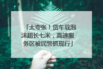 太夸张！货车载泡沫超长七米，高速服务区被民警抓现行
