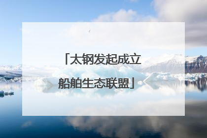 太钢发起成立船舶生态联盟
