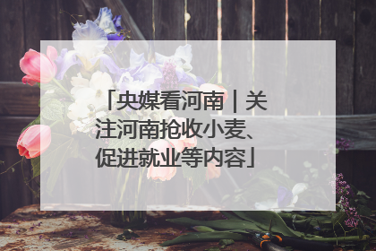 央媒看河南｜关注河南抢收小麦、促进就业等内容