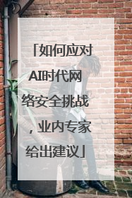 如何应对AI时代网络安全挑战，业内专家给出建议