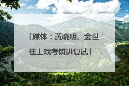 媒体：黄晓明、金世佳上戏考博进复试