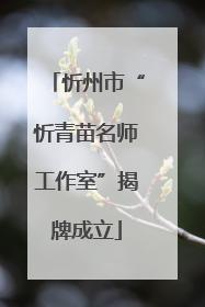 忻州市“忻青苗名师工作室”揭牌成立