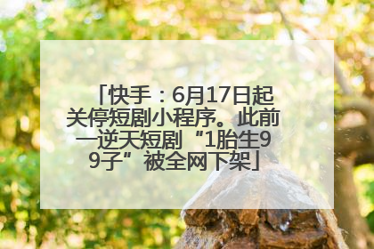 快手：6月17日起关停短剧小程序。此前一逆天短剧“1胎生99子”被全网下架