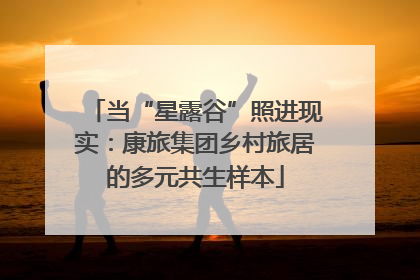 当“星露谷”照进现实：康旅集团乡村旅居的多元共生样本