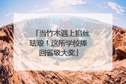 当竹木遇上掐丝珐琅！这所学校捧回省级大奖
