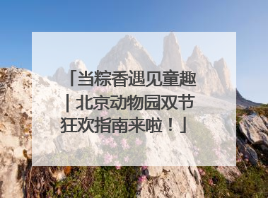 当粽香遇见童趣｜北京动物园双节狂欢指南来啦！