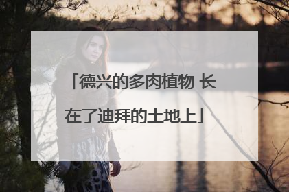 德兴的多肉植物 长在了迪拜的土地上