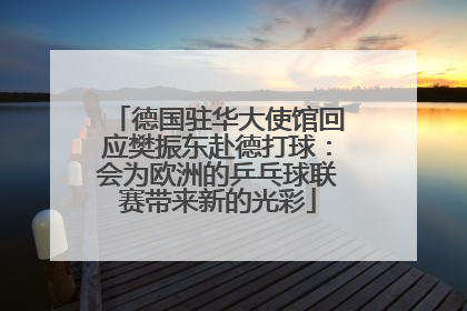 德国驻华大使馆回应樊振东赴德打球：会为欧洲的乒乓球联赛带来新的光彩