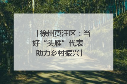 徐州贾汪区：当好“头雁”代表 助力乡村振兴