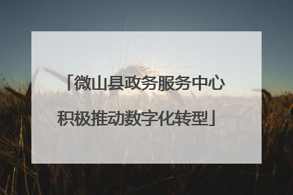 微山县政务服务中心积极推动数字化转型