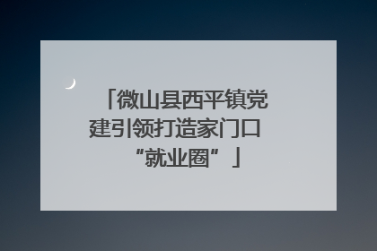 微山县西平镇党建引领打造家门口“就业圈”