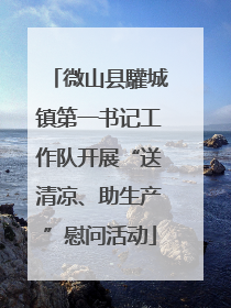 微山县驩城镇第一书记工作队开展“送清凉、助生产”慰问活动