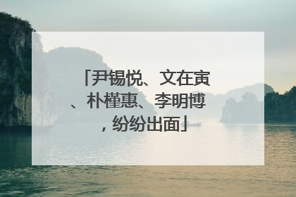 尹锡悦、文在寅、朴槿惠、李明博，纷纷出面