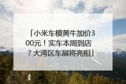小米车模黄牛加价300元！实车本周到店？大湾区车展将亮相