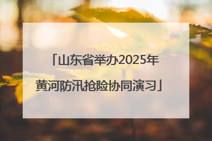 山东省举办2025年黄河防汛抢险协同演习