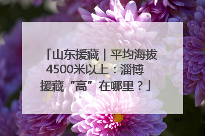 山东援藏｜平均海拔4500米以上：淄博援藏“高”在哪里？