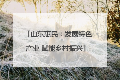 山东惠民：发展特色产业 赋能乡村振兴