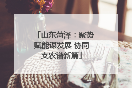 山东菏泽：聚势赋能谋发展 协同支农谱新篇