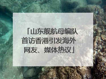 山东舰航母编队首访香港引发海外网友、媒体热议