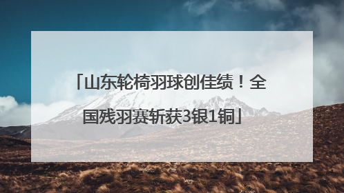 山东轮椅羽球创佳绩！全国残羽赛斩获3银1铜