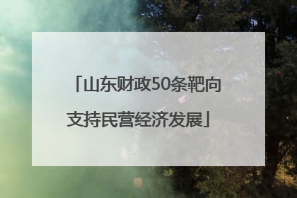 山东财政50条靶向支持民营经济发展