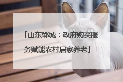 山东郓城：政府购买服务赋能农村居家养老