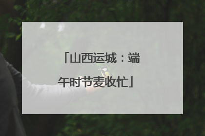 山西运城：端午时节麦收忙