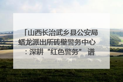 山西长治武乡县公安局蟠龙派出所砖壁警务中心：深耕“红色警务” 谱写“平安答卷”