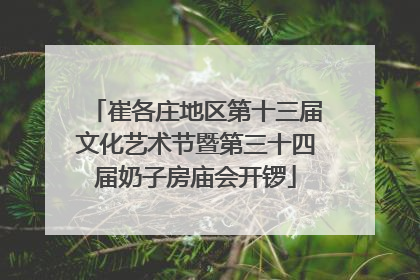 崔各庄地区第十三届文化艺术节暨第三十四届奶子房庙会开锣