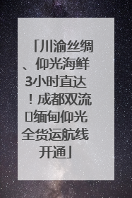 川渝丝绸、仰光海鲜3小时直达！成都双流⇌缅甸仰光全货运航线开通