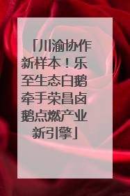 川渝协作新样本！乐至生态白鹅牵手荣昌卤鹅点燃产业新引擎