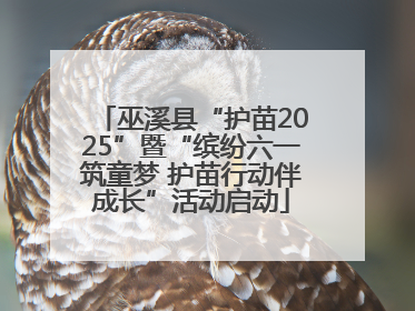 巫溪县“护苗2025”暨“缤纷六一筑童梦 护苗行动伴成长”活动启动