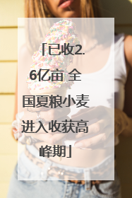 已收2.6亿亩 全国夏粮小麦进入收获高峰期