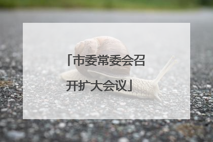 市委常委会召开扩大会议