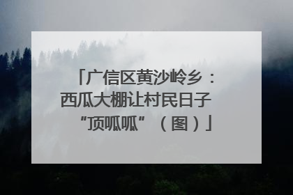 广信区黄沙岭乡：西瓜大棚让村民日子“顶呱呱”（图）