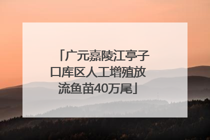 广元嘉陵江亭子口库区人工增殖放流鱼苗40万尾