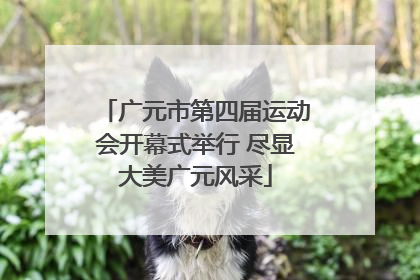 广元市第四届运动会开幕式举行 尽显大美广元风采