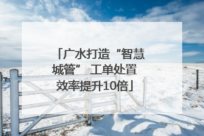 广水打造“智慧城管” 工单处置效率提升10倍