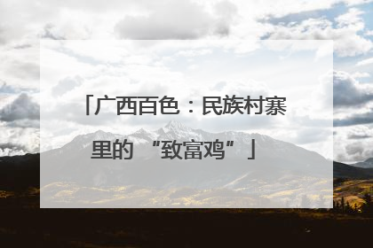 广西百色：民族村寨里的 “致富鸡”