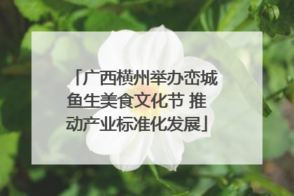 广西横州举办峦城鱼生美食文化节 推动产业标准化发展